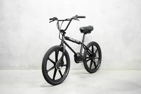Discover Project BMX at Evolve Your Electric Cruiser