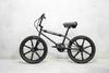 Project BMX - Evolve Skateboards USA