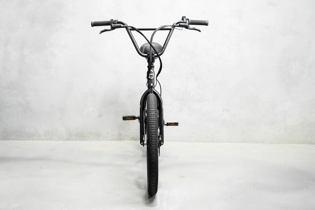 Project BMX - Evolve Skateboards USA