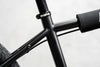 Project BMX - Evolve Skateboards USA