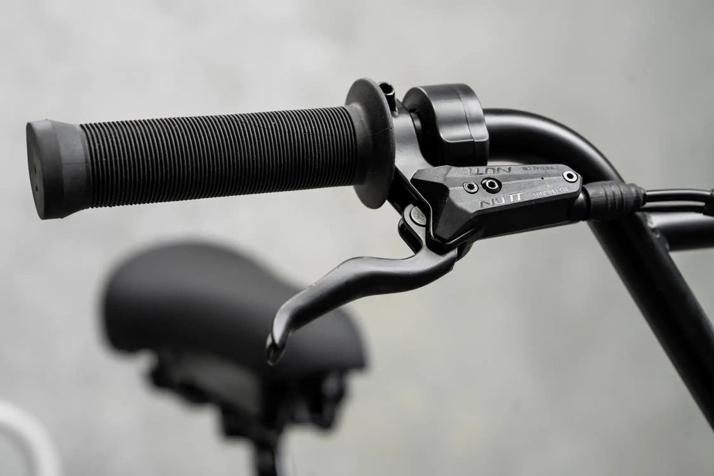 Project BMX - Evolve Skateboards USA