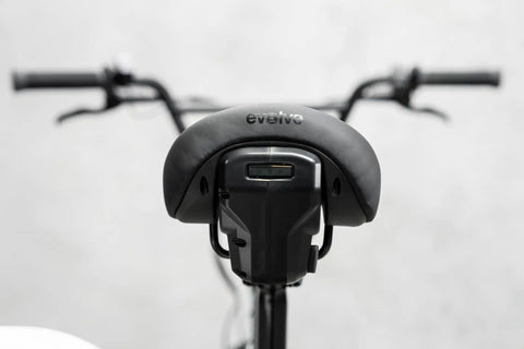 Project BMX - Evolve Skateboards USA