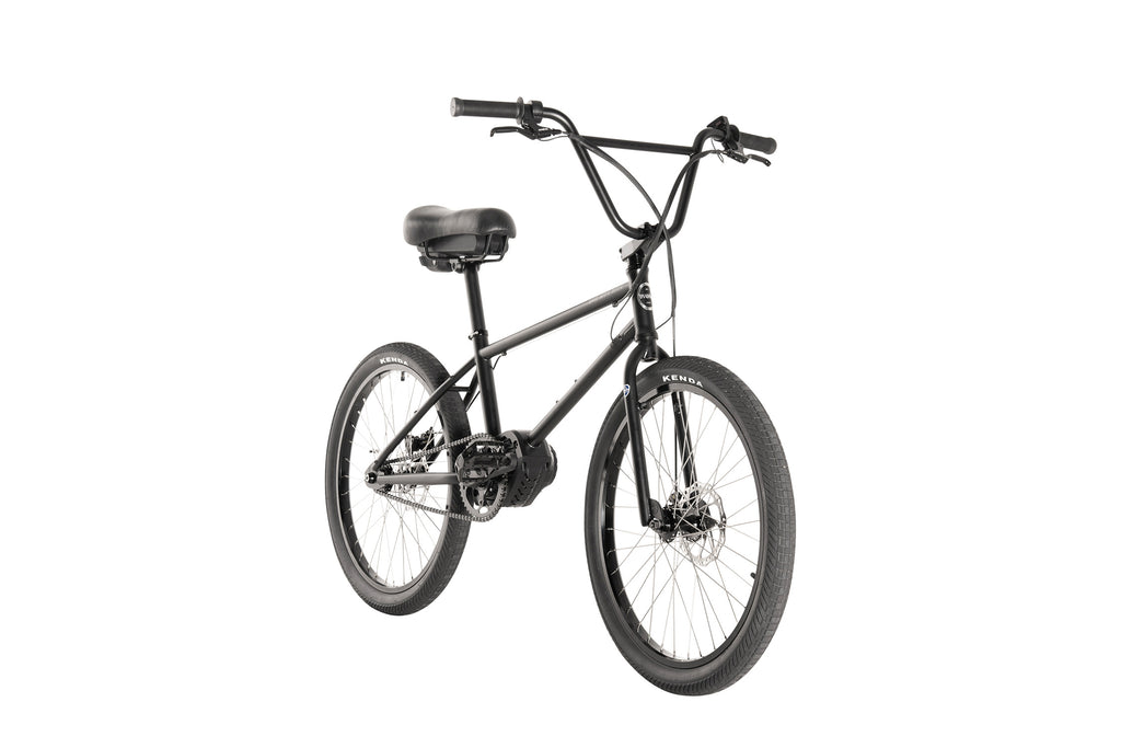 Project BMX (2024) - Evolve Skateboards USA