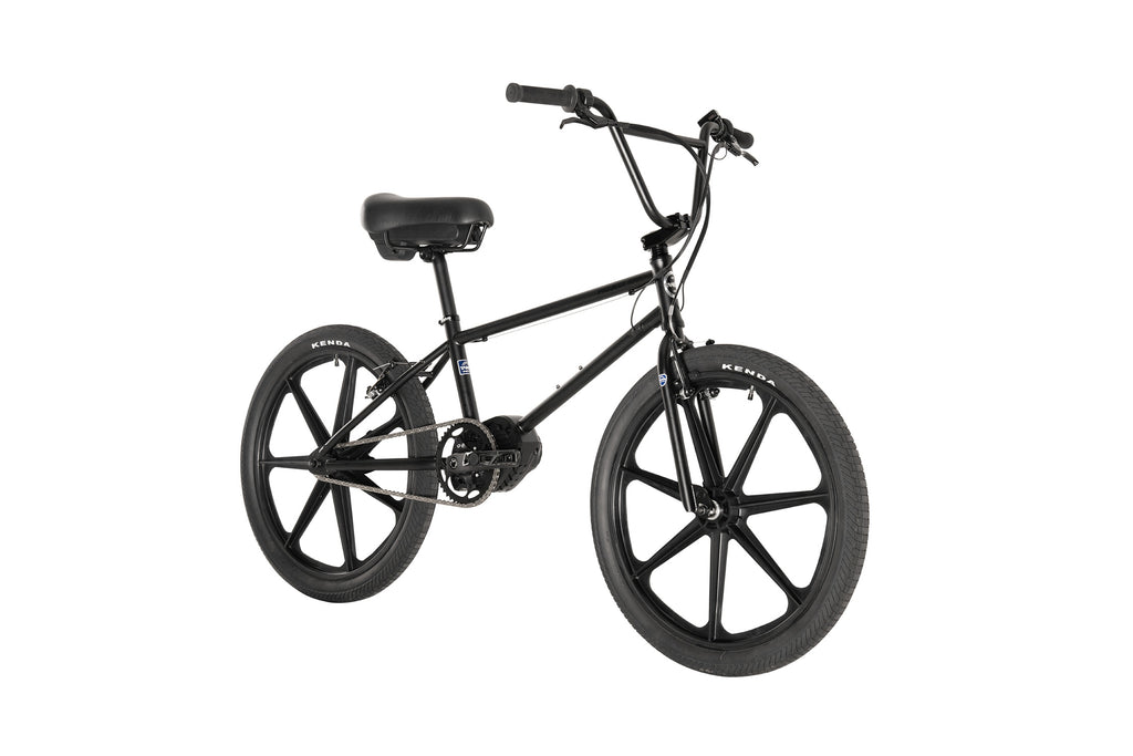 Project BMX (2024) - Evolve Skateboards USA
