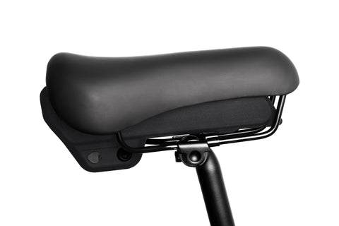 Project BMX (2024) - Evolve Skateboards USA